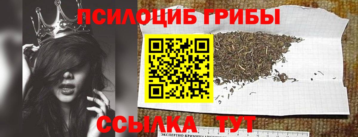 Галлюциногенные грибы Psilocybine cubensis  как найти закладки  Кудрово  Псилоцибиновые грибы Psilocybine cubensis 