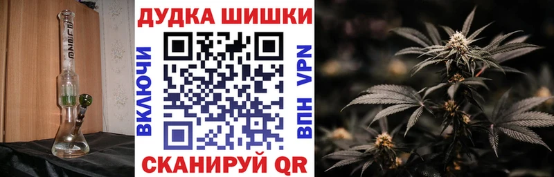 Марихуана конопля  как найти   Кудрово 